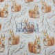 Printed Muslin | 100% Cotton | Squirrel Cemsa Textile