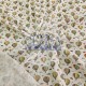 Printed Pointelle Rib / Transfer Rib Fabric 100% Cotton | Design 6