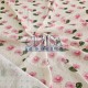 Printed Pointelle Rib / Transfer Rib Fabric 100% Cotton | Design 8 Cemsa Textile