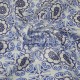 Printed Sateen Fabric | 100% Cotton| 566123 Cemsa Textile