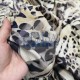 Printed Woven Fabric 100% Viscose | PW_BVLPRD Cemsa Textile