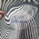 Printed Woven Linen Fabric 100% Linen | B46604_V13